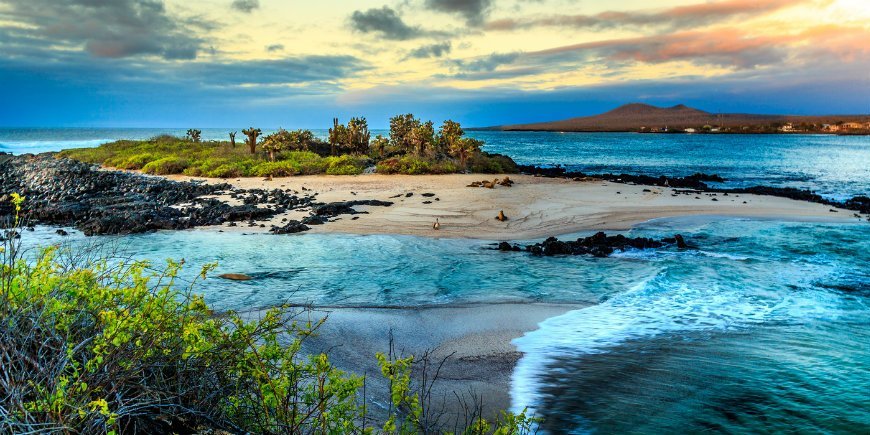 Cruise or island hopping on the Galapagos