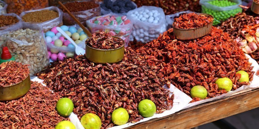 Mexico Oaxaca Market