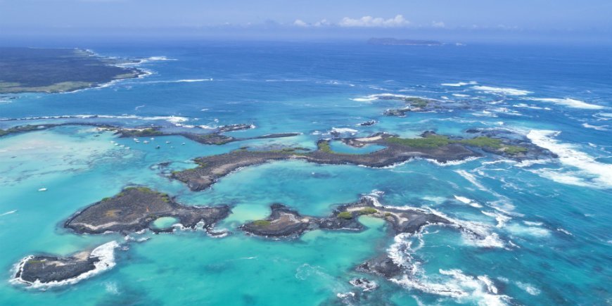 the Galapagos Islands